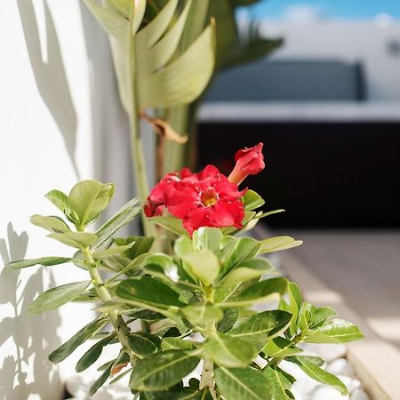 Villa Palmera Jacuzzi Yaiza  Zewnętrze zdjęcie