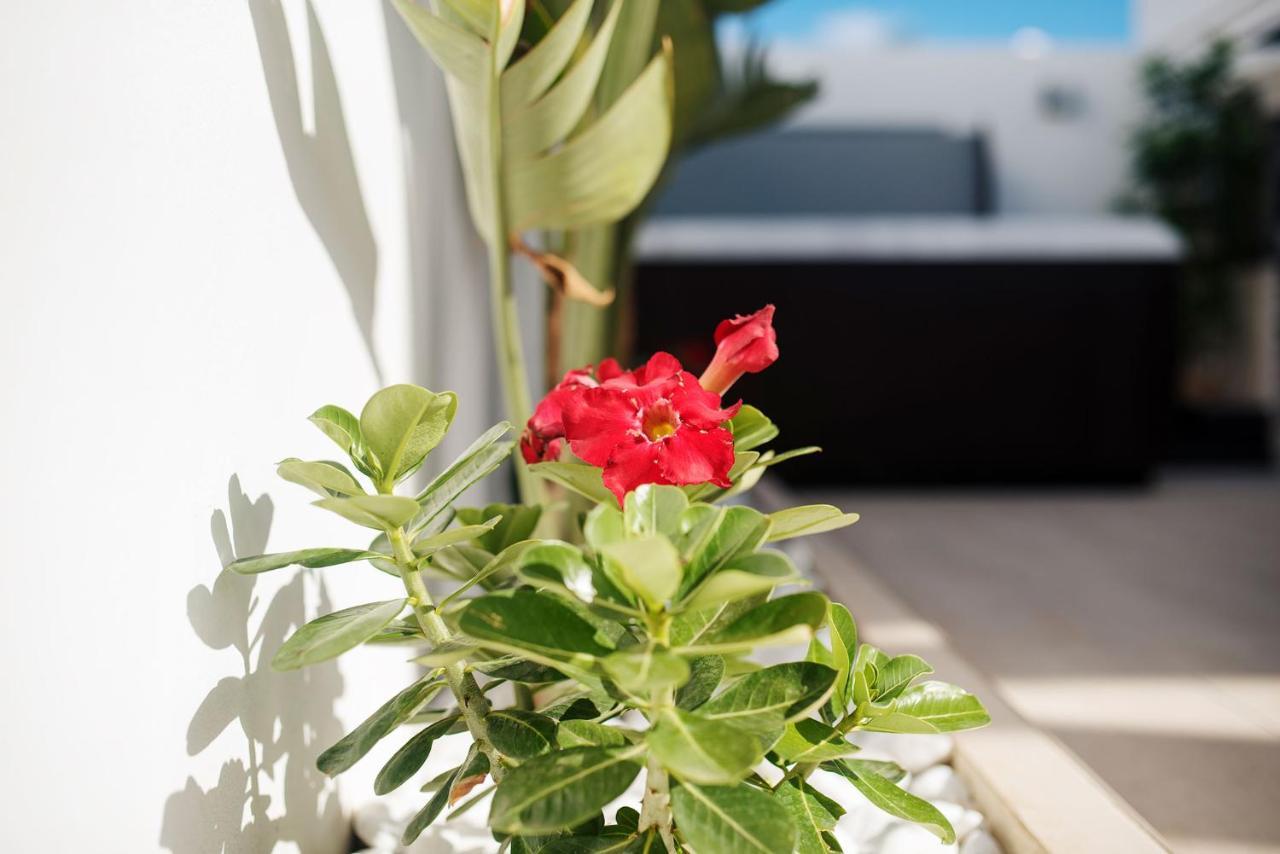 Villa Palmera Jacuzzi Yaiza  Zewnętrze zdjęcie